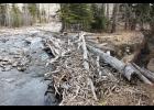 A naturally occurring log jam separates the main channel of the West Fork of the Stillwater River, left, from a secondary channel about two miles down Limestone Road from the Stillwater River Road. The log jam helped limit erosion of a bend in the secondary channel not far from the West Fork’s prehistoric channel.