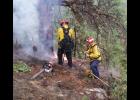 Columbus fire crews attend to a burning tree that had been struck by lightning in the Whitebird Creek area.